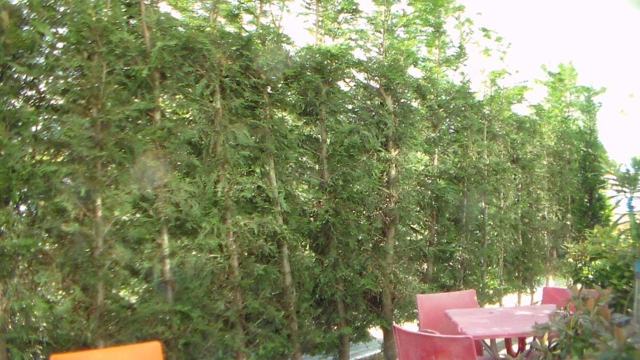 Shkoder Hotel Temali Exteriér fotografie